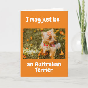 Carte AUSTRALIAN SHEPARD DIT "HEUREUX 60ème"