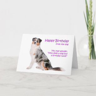 Carte Australian Shepherd Birthday Card