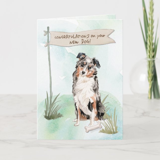 Carte Australian Shepherd Félicitations pour le nouveau  (Devant)