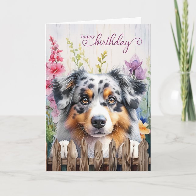 Carte Australian Shepherd Garden Fence Anniversaire (Devant)