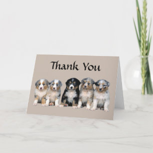 Carte australienne de chiot de Merci de berger