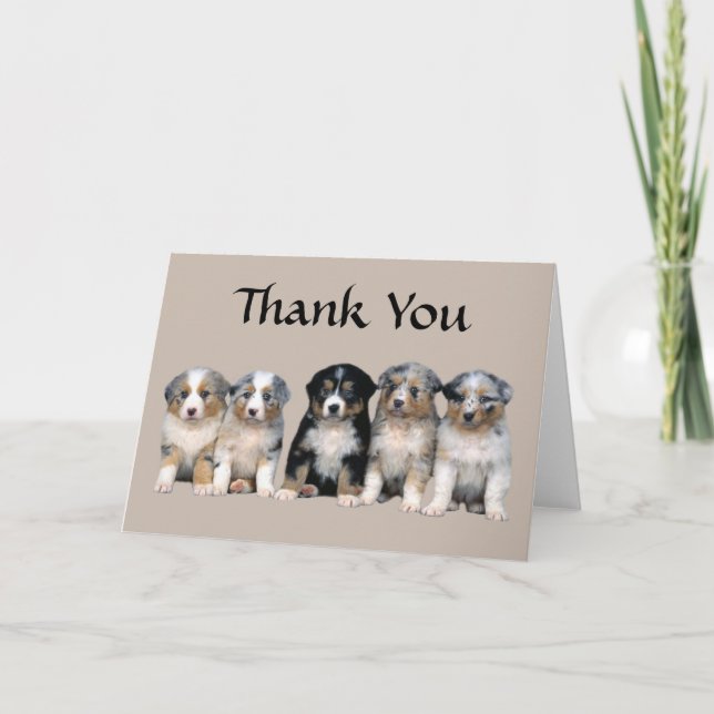 Carte australienne de chiot de Merci de berger (Devant)