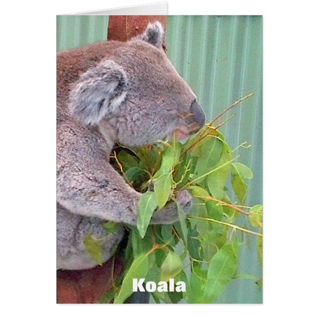 Carte australienne de faune (Devant)