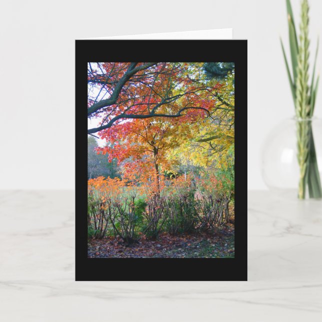 Carte Automne (Devant)