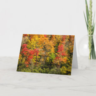 Carte Automne à Sims Pond North Carolina, Blue Ridge