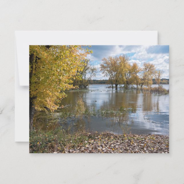 Carte Automne au lac Black Dog (Devant)