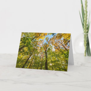 Carte Automne dans une forêt à Amesbury, Massachusetts