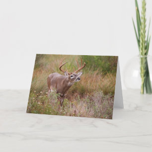 Carte Automne de cerfs à queue blanche au Texas
