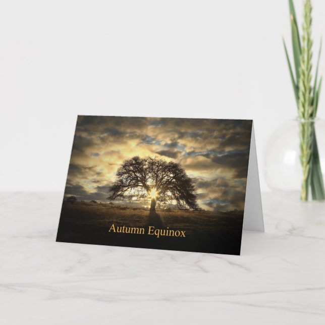 Carte Automne Équinoxe Mabon Chêne Arbre Soleil étoile (Devant)