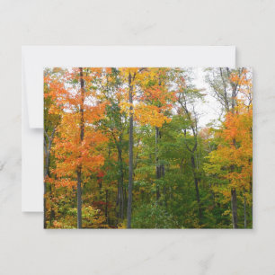 Carte Automne Maple Trees Automne Photographie de la nat