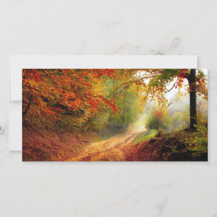 Carte Autumn Leaves and Trees Covering Dirt Road