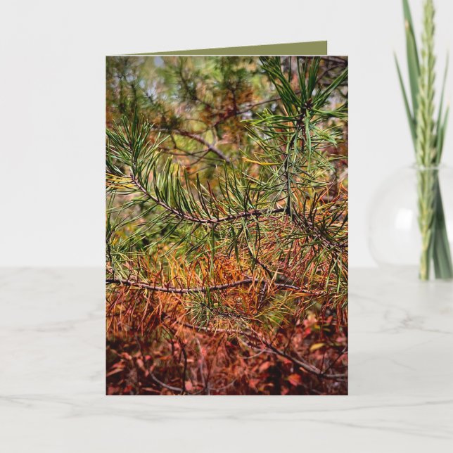 Carte Autumn Pine Needles  (Devant)