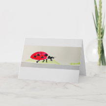 Carte avec aquarelle de Giant Ladybug!
