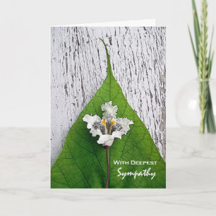 Carte Avec la plus profonde sympathie Catalpa Blossom et