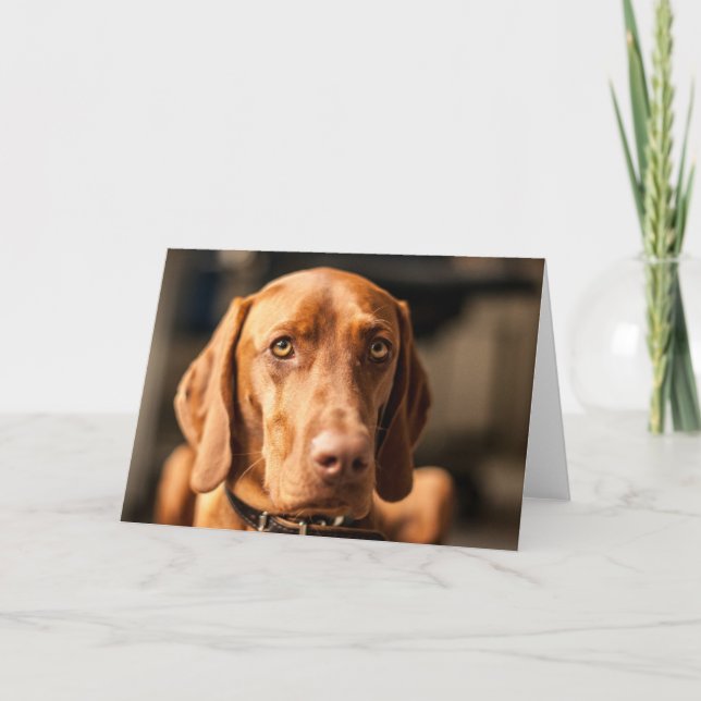 Carte avec motif "Magyar Vizsla" (Devant)