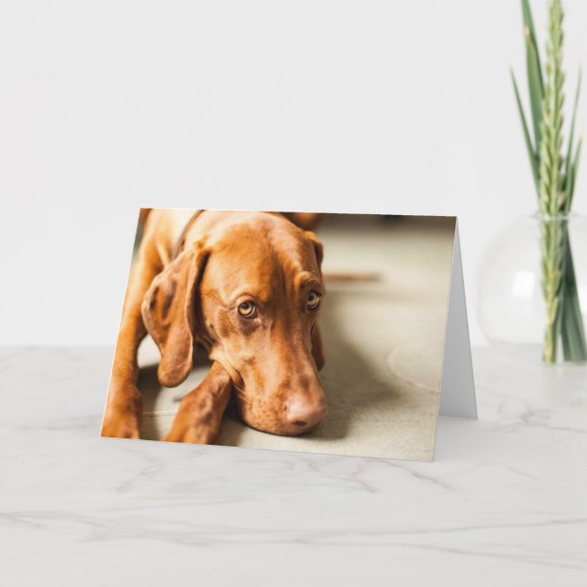 Carte avec motif "Magyar Vizsla" (Devant)