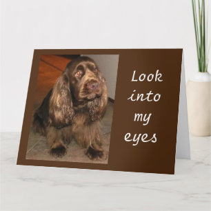 CARTE **AVEZ LE MEILLEUR ANNIVERSAIRE JAMAIS** DIT PUP