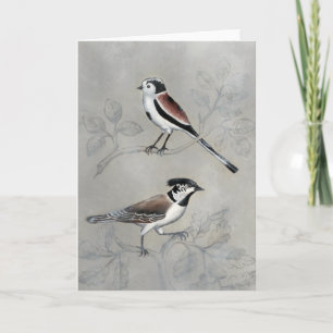 Carte Aviaire argenté   Une paire