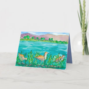 Carte Avocet Lake Shore Birds Joyeux anniversaire