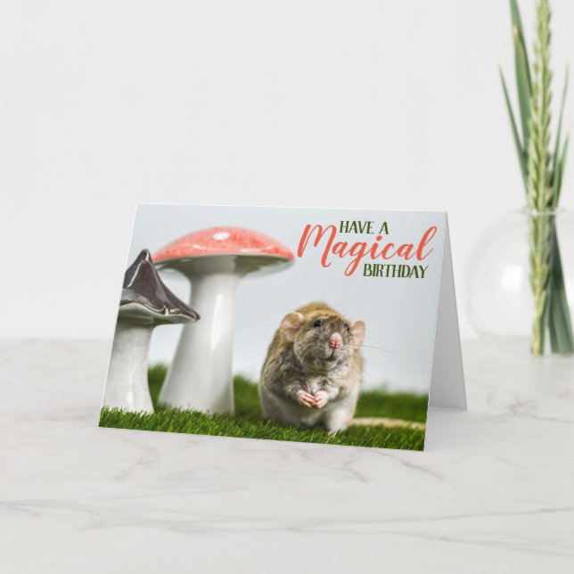 Carte Avoir un anniversaire magique (Devant)