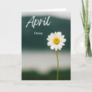 Carte Avril Blancs marguerite Naissance Mois Fleur Anniv