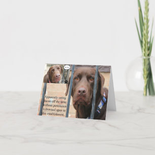 Carte Ayez un anniversaire fabuleux… sans conséquences