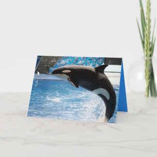 Carte Ayez une baleine d'un jour !