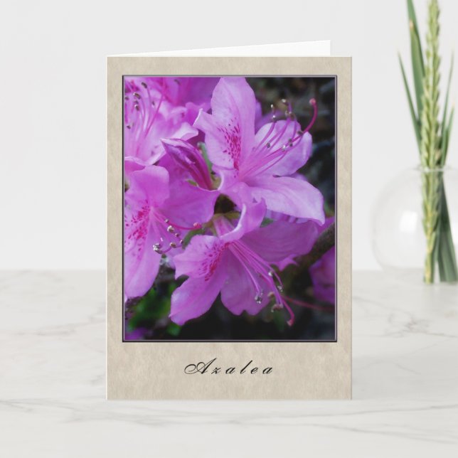 Carte Azalée - Série Florale (Devant)