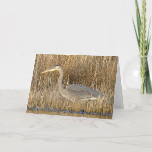 Carte B19 Heron bleu juvénile