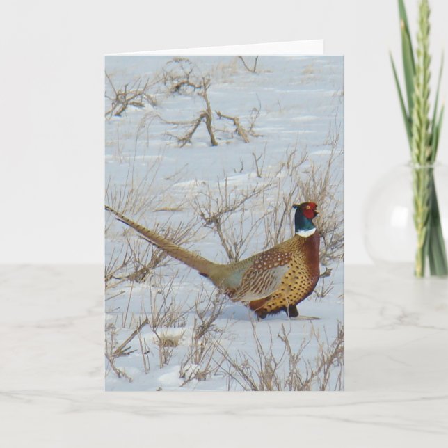 Carte B22 Pheasant à cou circulaire (Devant)
