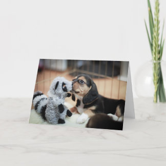 Carte Baby Beagle Et Son Nouveau Jouet