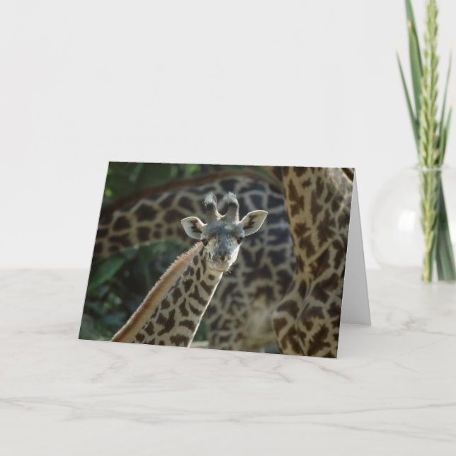 Carte Baby Giraffe (Devant)