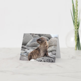 Carte Baby Sea Lion Greeting Card
