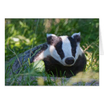 Carte Badger britannique