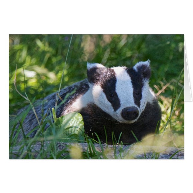 Carte Badger britannique (Devant horizontal)