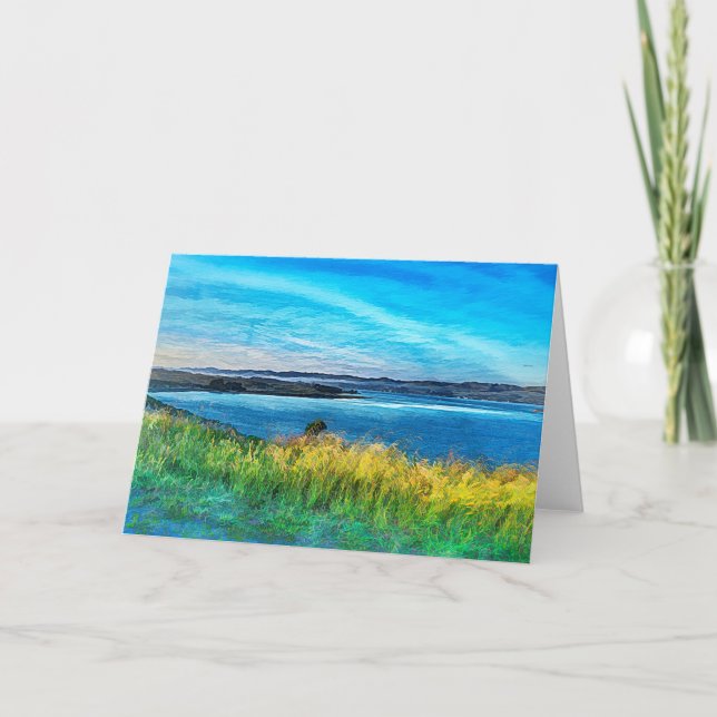 Carte Baie de Bodega (Devant)