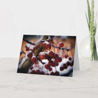 Carte Baies surgelées