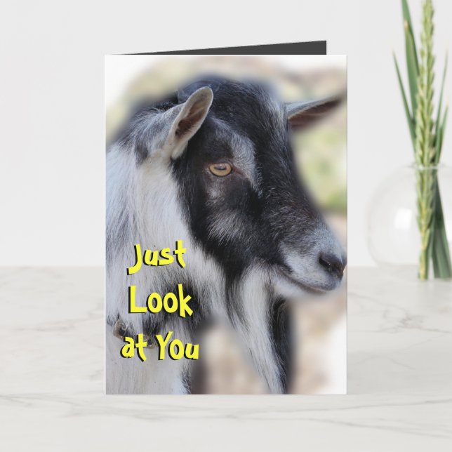 Carte BaileyLookatYou-customisez toute occasion (Devant)