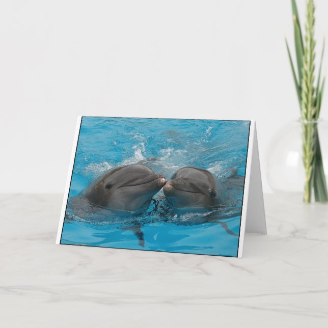 Carte Baisers des dauphins (Devant)