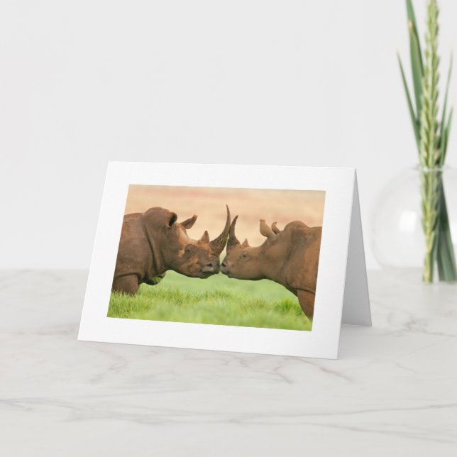 Carte Baisers du rhinocéros (Devant)
