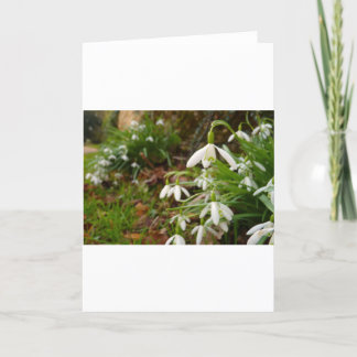 Carte Baisses de neige