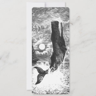 Carte Baleine vintage, Vie Marine Animaux