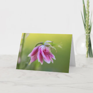 Carte Ballerina rose - Columbine en mouvement