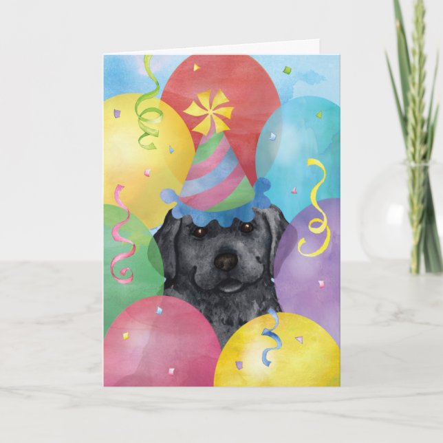Carte Ballons d'anniversaire Black Lab (Devant)