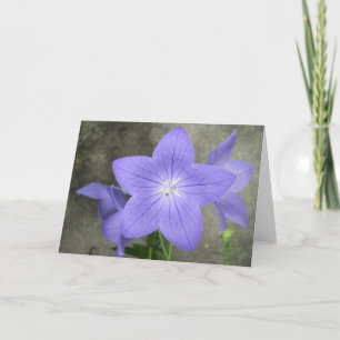 Carte Balloon Flower