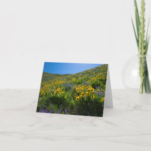 Carte Balsam et Lupine Superfleur vierge