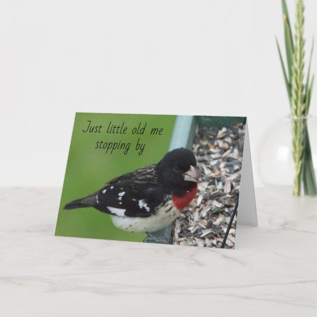 Carte Baltimore Oriole s'arrête pour dire *JOLI ANNIVERS (Devant)