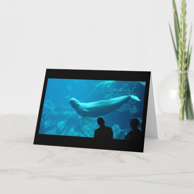 Carte Baluga (Devant)