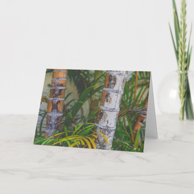 Carte Bambou orange (Devant)
