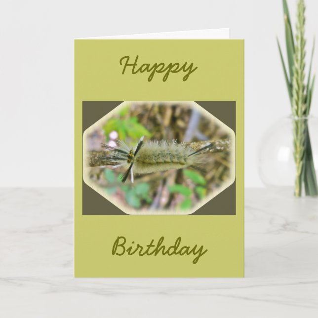 Carte Bande Tussock Moth Caterpillar (Devant)